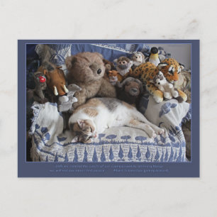 "Circle of Compassion" Miriam Kilmer risingdove Holiday Postcard