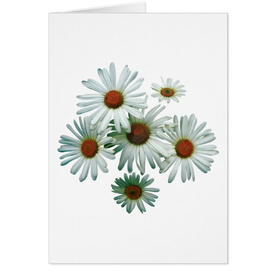 Circle of Daisies Card