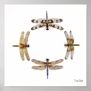 CIRCLE OF DRAGONFLIES POSTER