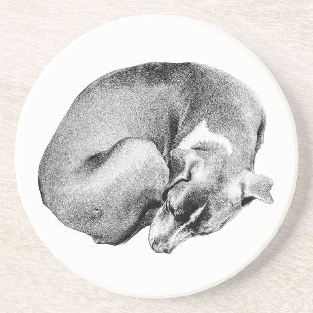 Circle of Ease Coaster (Front)