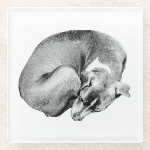 Circle of Ease Glass Coaster