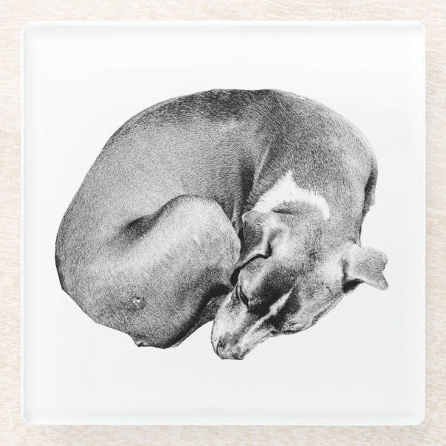Circle of Ease Glass Coaster (Front)