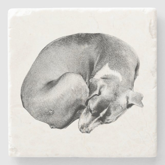 Circle of Ease Stone Coaster (Front)