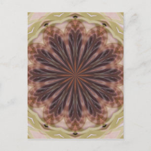 Circle of Feathers Postcard