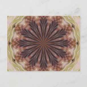 Circle of Feathers Postcard