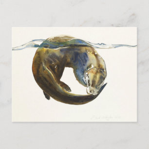 Circle of life 2014 postcard