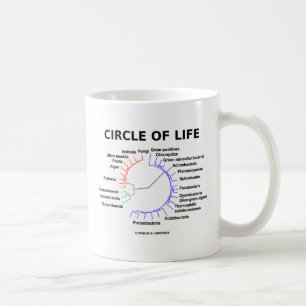 Circle Of Life (Circular Phylogenetic Tree) Coffee Mug