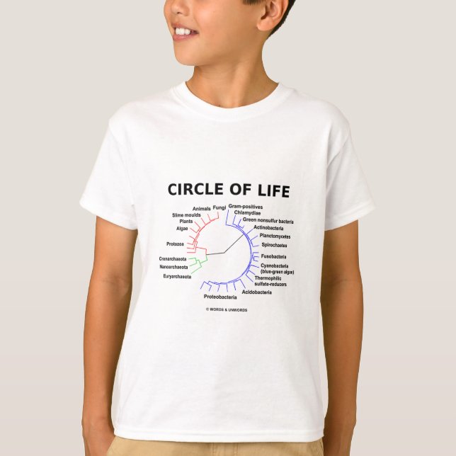 Circle Of Life (Circular Phylogenetic Tree) T-Shirt (Front)