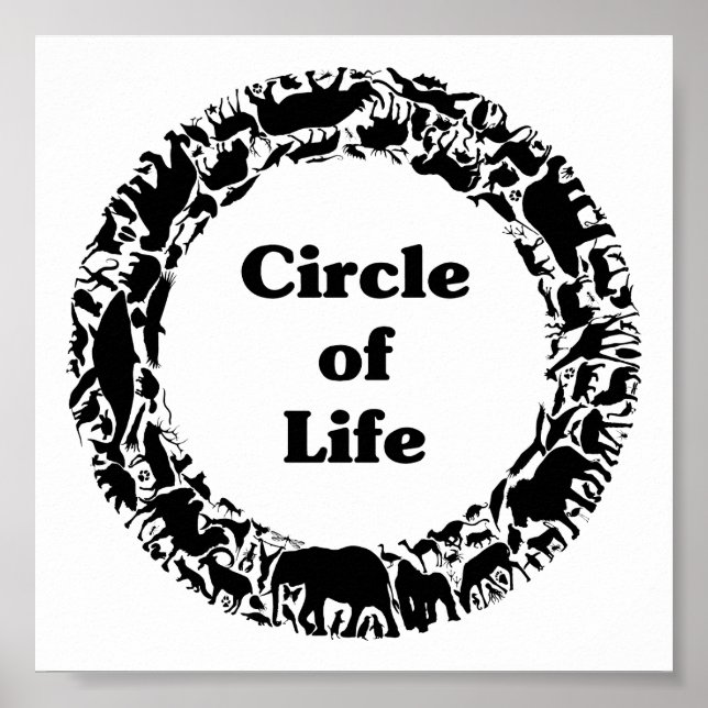 Circle of life poster (Front)