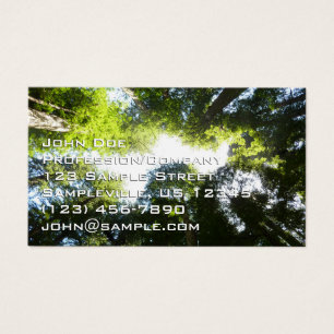 Circle of Redwood Trees at Redwood National Park