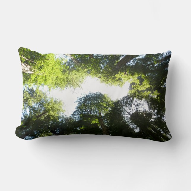 Circle of Redwood Trees at Redwood National Park Lumbar Cushion (Front)