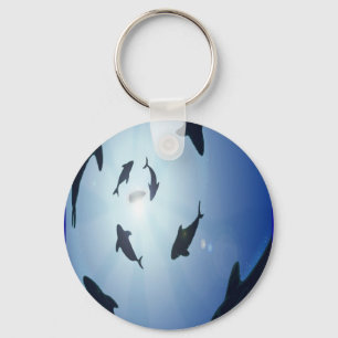 Circle-of-sharks Key Ring