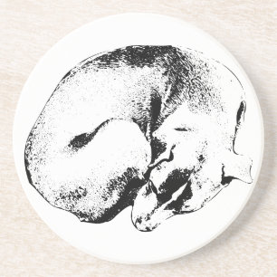 Circle of Trust Coaster