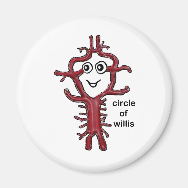Circle of Willis Magnet (Front)