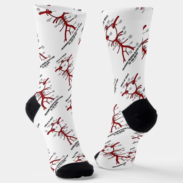 Circle Of Willis Providing Proper Blood Flow Brain Socks (Angled)