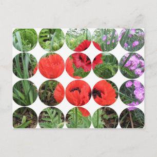 Circle Photo Postcard