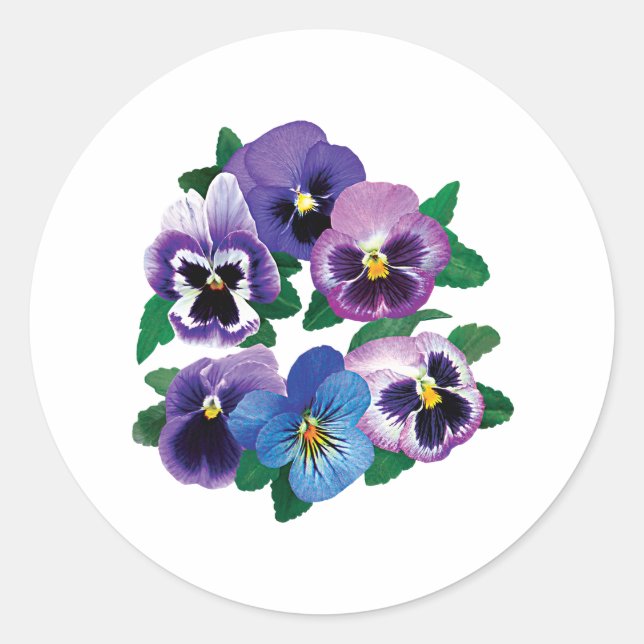 Circle Purple Pansies Classic Round Sticker (Front)