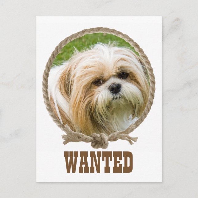 Circle rope frame western design postcard (Front)