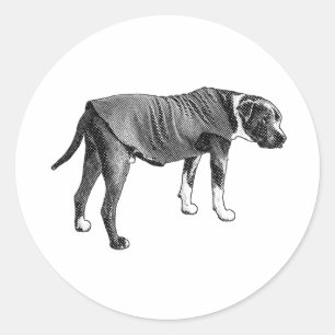 Circle Vest, Friendly Look Classic Round Sticker