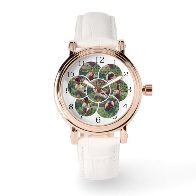 Circles of Quack: A Duck Collage Masterpiece Watch (Front)