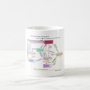 Circuit macréconomique des flux financiers coffee mug
