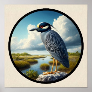 Circular 3D Image of a Yellow-crowned Night Heron Poster