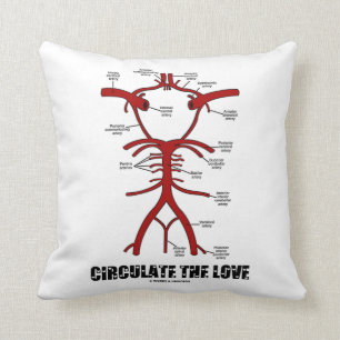 Circulate The Love (Circle Of Willis) Cushion