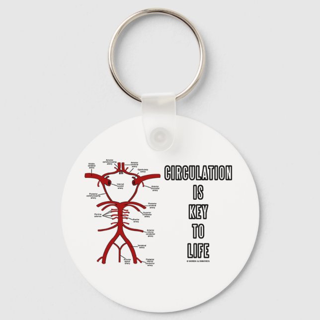 Circulation Is Key To Life (Circle Of Willis) Key Ring (Front)