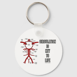 Circulation Is Key To Life (Circle Of Willis) Ring