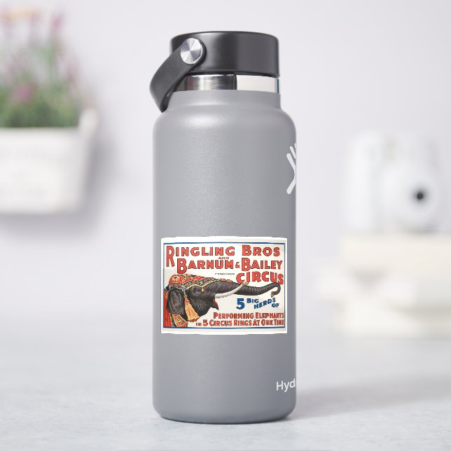 Circus  5 Big Herds of Performing Elephants (HydroFlask)