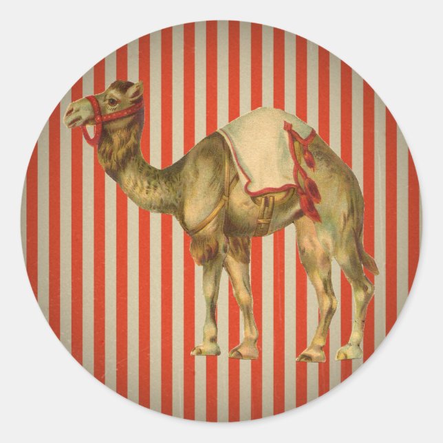 CIRCUS CAMEL VINTAGE CLASSIC ROUND STICKER (Front)
