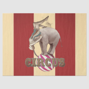 Circus Carnival  Tissue Paper