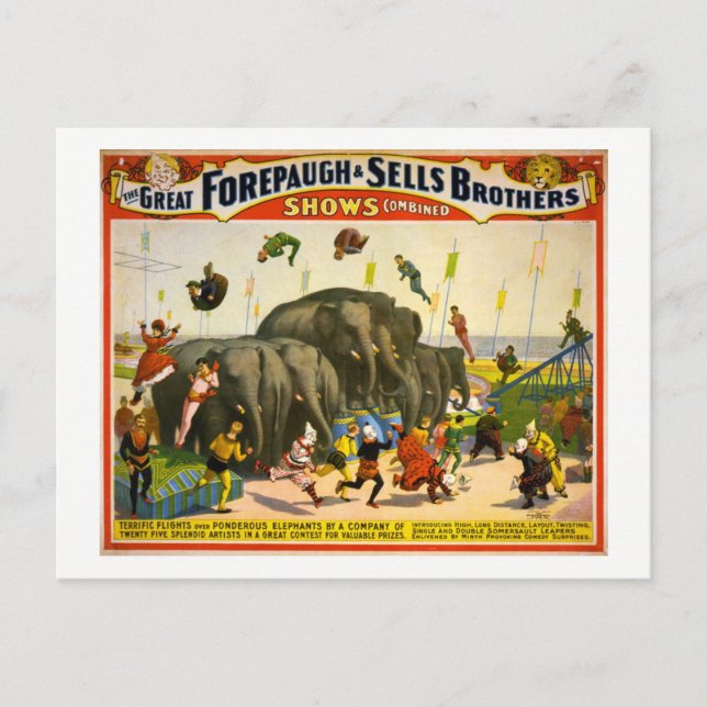 Circus Elephants, 1899 Vintage Postcard (Front)