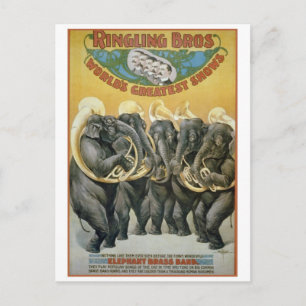 Circus Elephants Brass Band Postcard