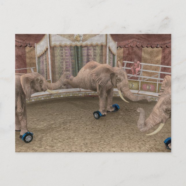 Circus Elephants Holiday Postcard (Front)