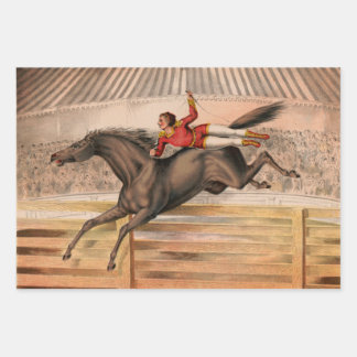 Circus horse and daredevil flying over a fence wrapping paper sheet