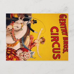 Circus Horse Postcard