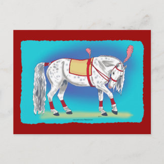 Circus Horse Postcard