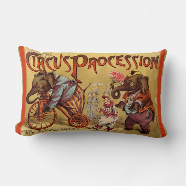 Circus Lumbar Pillow (Front)