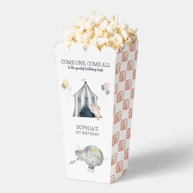 Circus Party Carnival Theme 1st Birthday Favour Box (Popped)