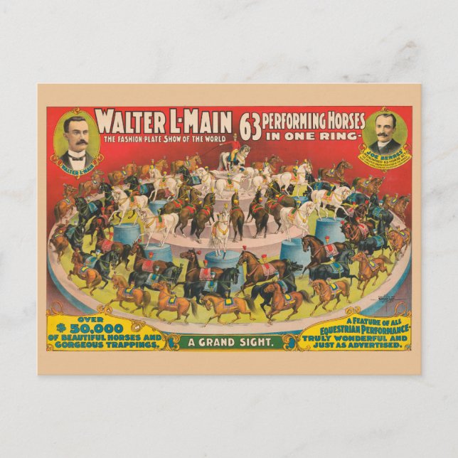 Circus Poster Of 63 Performing Horses In One Ring Postcard (Front)