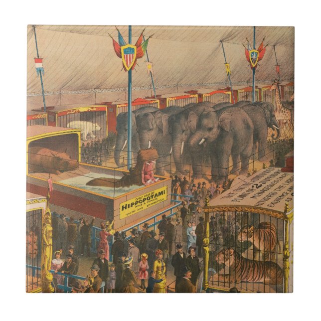 Circus Poster Of Animals On Exhibit In A Tent Ceramic Tile (Front)