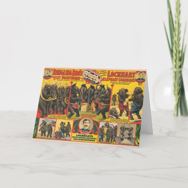 Circus Poster Of Elephants Performing Card (Front)