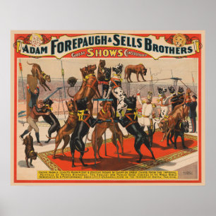 Circus Poster Of Great Danes With Trainer