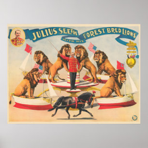 Circus Poster Of Julius Seeth With His Lions
