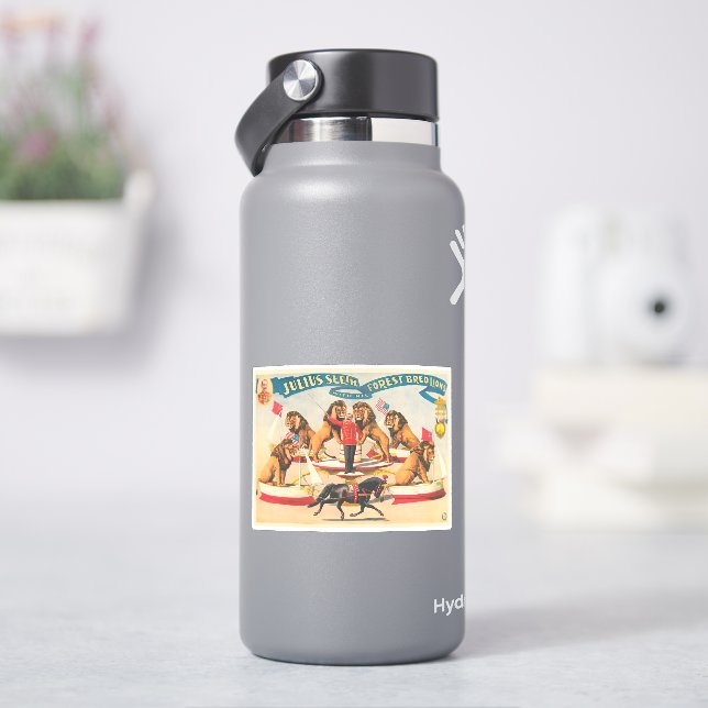 Circus Poster Of Julius Seeth With His Lions (HydroFlask)