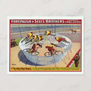 Circus Poster Of The Seven Gaynells Riding Bikes Postcard