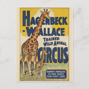 Circus Poster Postcard