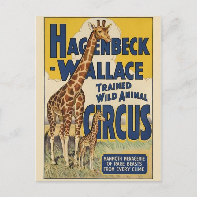 Circus Poster Postcard (Front)