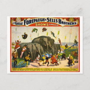Circus Poster Postcard